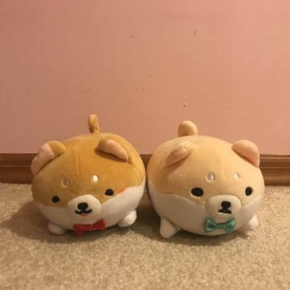 ♡ Cute corgi plushes ♡